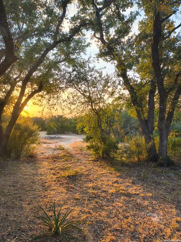 1263 Agaritaville, Spring Branch, TX 78070