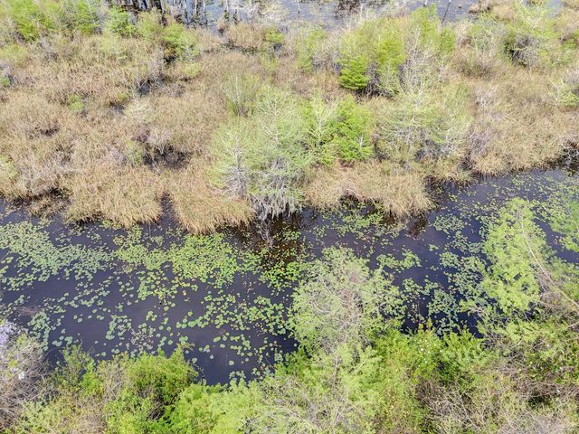 9203 Lake Forest Drive, Youngstown, FL 32466