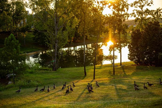 8201 Jolene Dr, College Grove, TN 37046