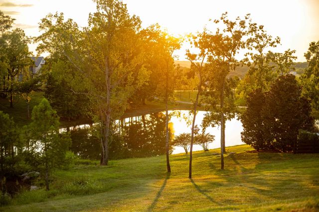 8201 Jolene Dr, College Grove, TN 37046