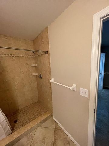 11219 CEDAR HOLLOW LANE, Tampa, FL 33618