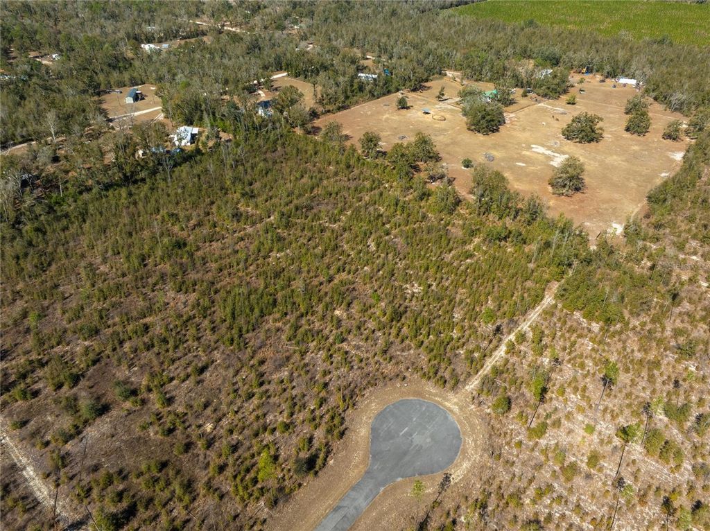 Image 12 of property listing at 213TH COURT, Live Oak, FL 32060