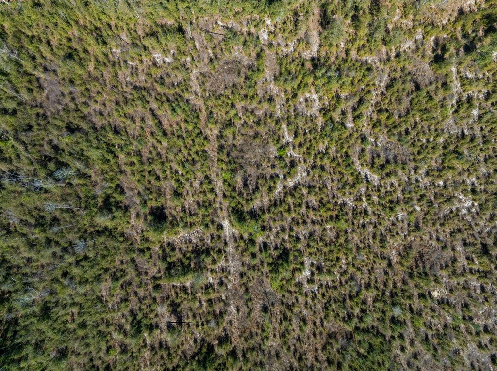 Image 24 of property listing at 213TH COURT, Live Oak, FL 32060