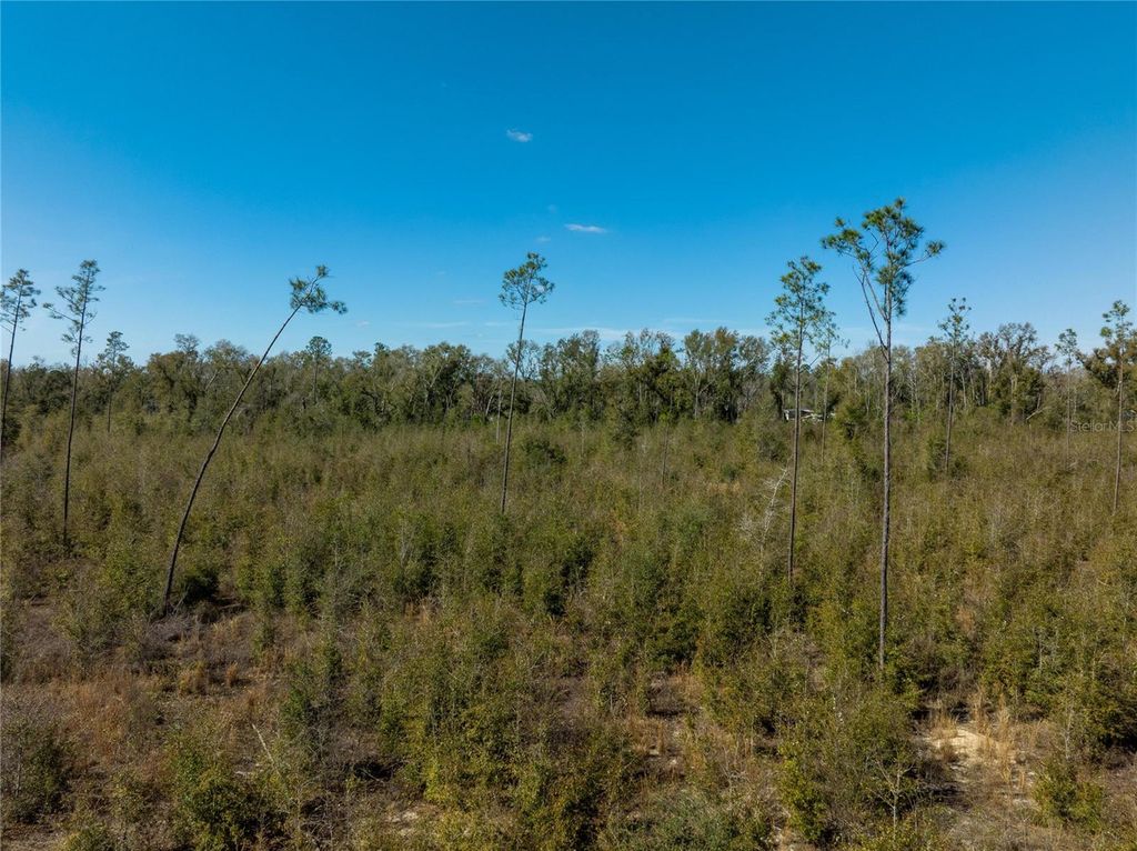 Image 25 of property listing at 213TH COURT, Live Oak, FL 32060