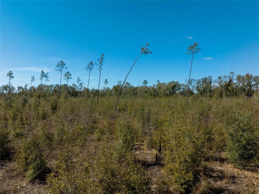 Image 26 of property listing at 213TH COURT, Live Oak, FL 32060