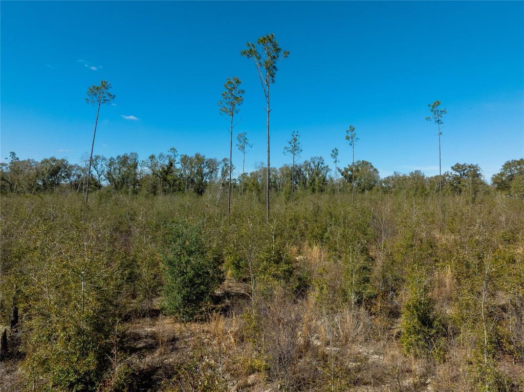 Image 27 of property listing at 213TH COURT, Live Oak, FL 32060