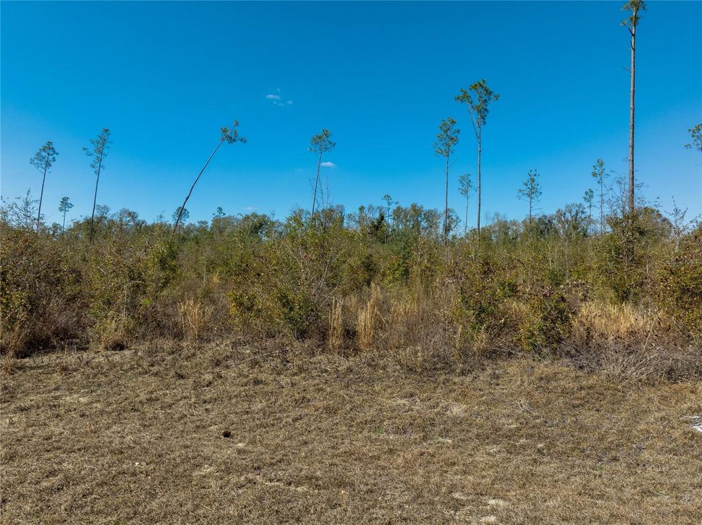 Image 28 of property listing at 213TH COURT, Live Oak, FL 32060