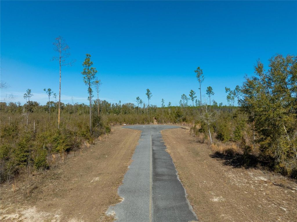 Image 30 of property listing at 213TH COURT, Live Oak, FL 32060