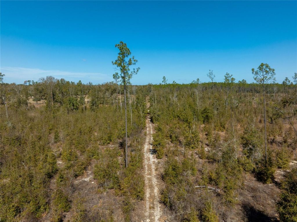 Image 31 of property listing at 213TH COURT, Live Oak, FL 32060