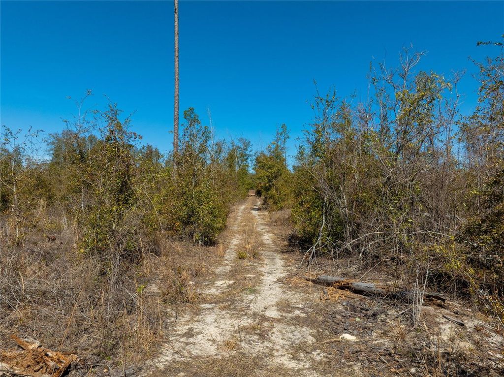 Image 32 of property listing at 213TH COURT, Live Oak, FL 32060