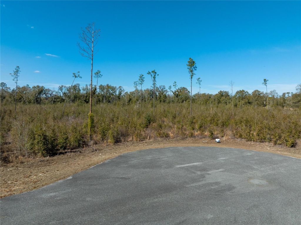 Image 33 of property listing at 213TH COURT, Live Oak, FL 32060