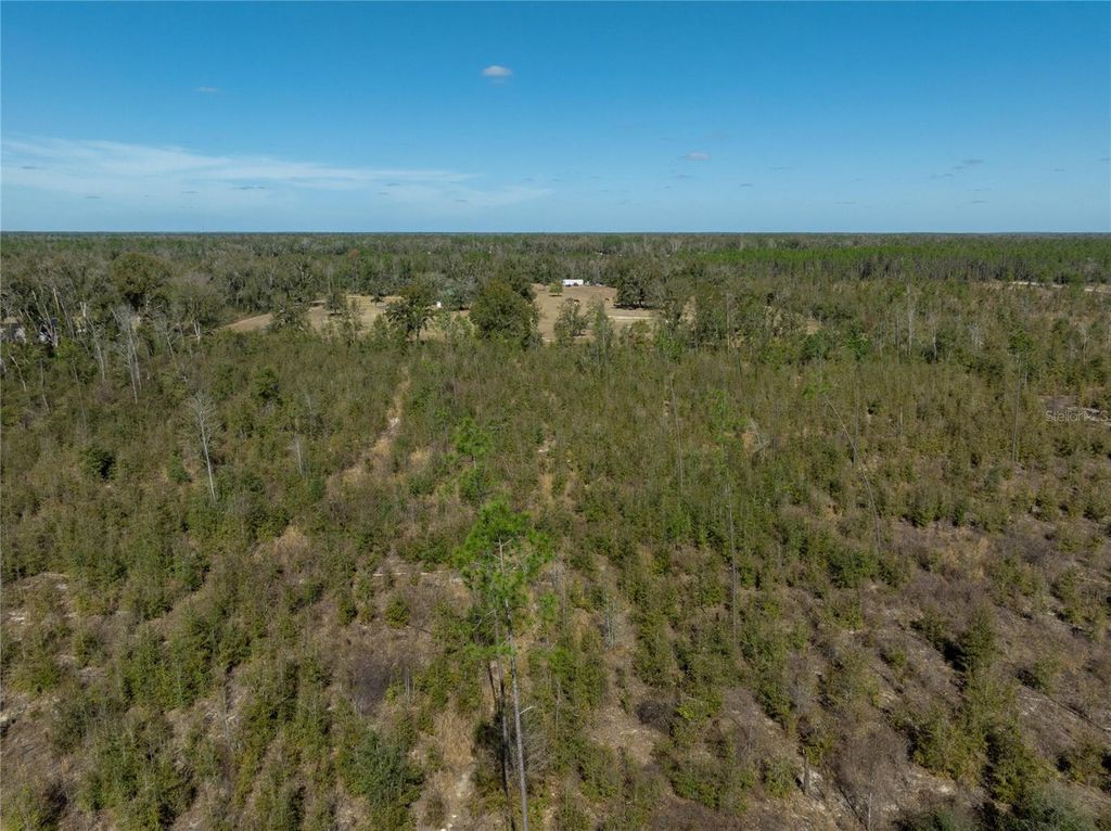 Image 6 of property listing at 213TH COURT, Live Oak, FL 32060