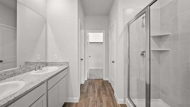 25207 Leather Leaf Court, Montgomery, TX 77316