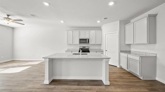 25207 Leather Leaf Court, Montgomery, TX 77316