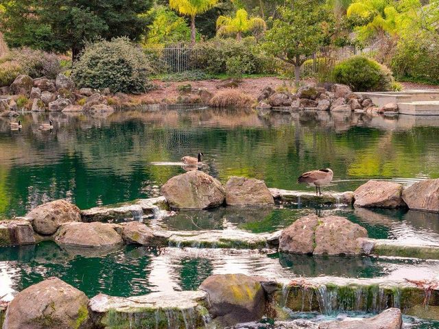 11501 Sunrise Spring Court, Cupertino, CA 95014