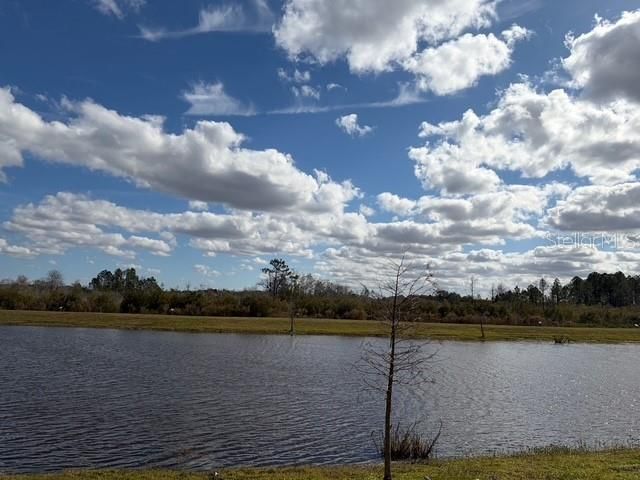 6952 AUDOBON OSPREY COVE, Harmony, FL 34773