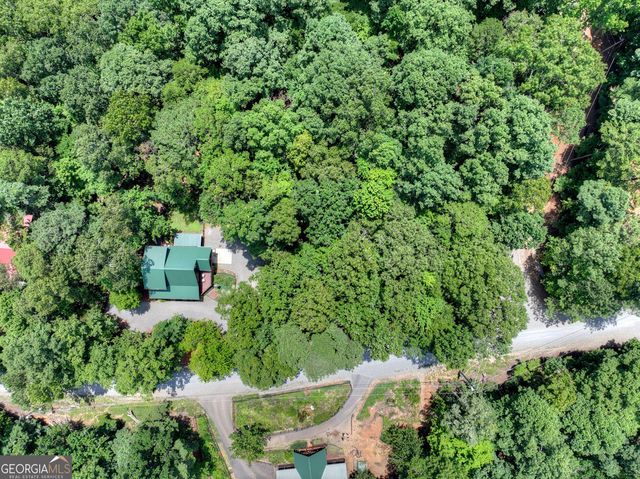 612 Medina Court, Ellijay, GA 30540