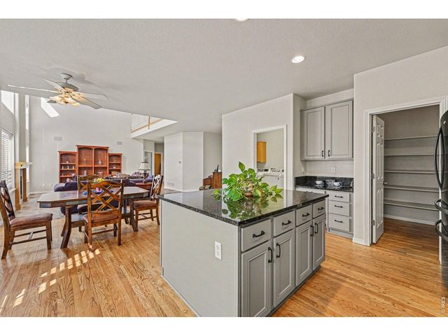 10617 Clarke Farms Dr, Parker, CO 80134