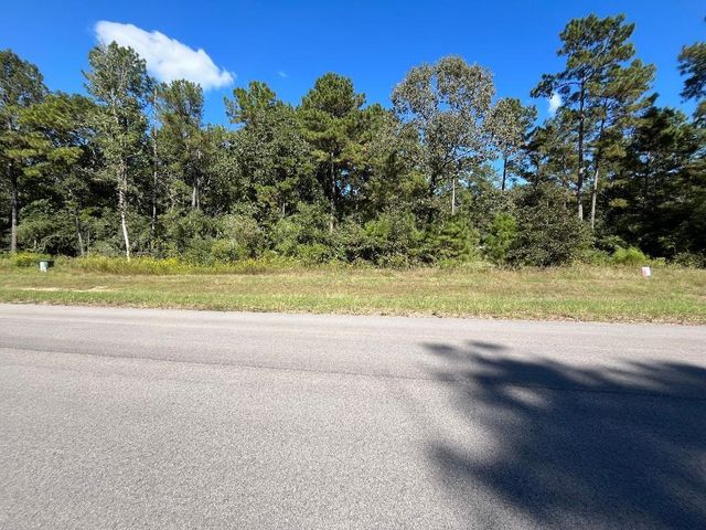 16302 Golden Wood Court, Willis, TX 77378
