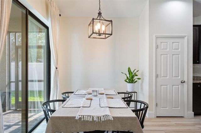 11528 PALMETTO PINE STREET, Riverview, FL 33569