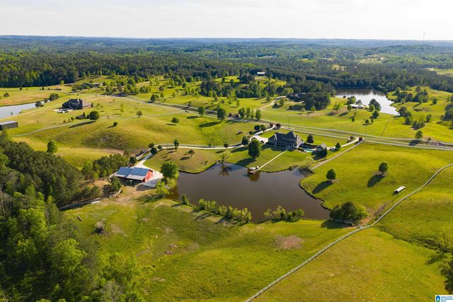 401 SOUTHERN LANE, Helena, AL 35080