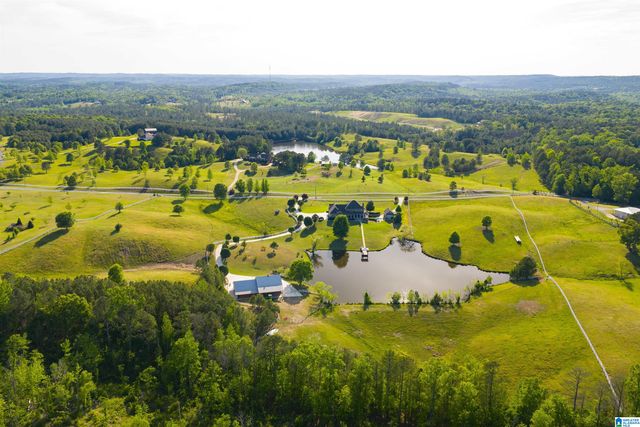 401 SOUTHERN LANE, Helena, AL 35080