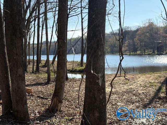 3715 Fall Bluff Drive, Decatur, AL 35603