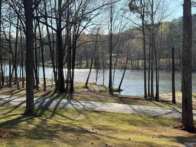 3715 Fall Bluff Drive, Decatur, AL 35603