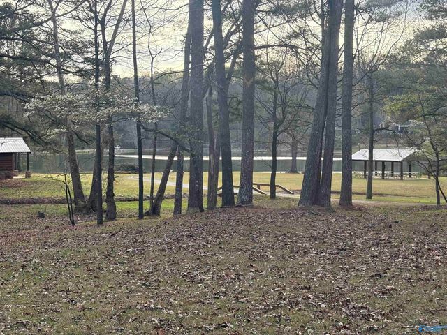 3715 Fall Bluff Drive, Decatur, AL 35603