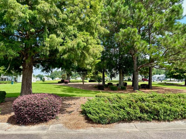 230 Congaree River Drive, Summerville, SC 29485