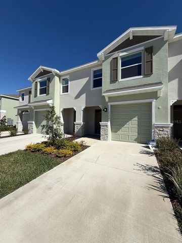 11374 VELVET APRICOT DRIVE, Land O Lakes, FL 34638