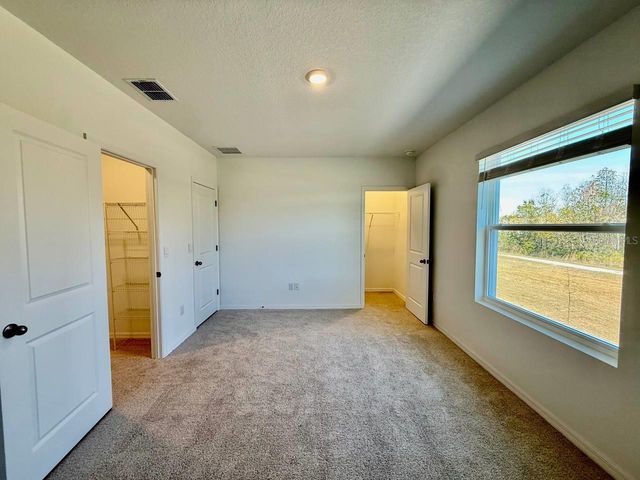 11374 VELVET APRICOT DRIVE, Land O Lakes, FL 34638