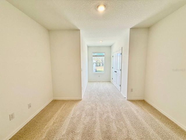 11374 VELVET APRICOT DRIVE, Land O Lakes, FL 34638