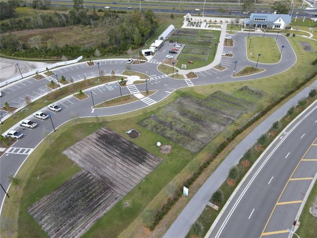 11374 VELVET APRICOT DRIVE, Land O Lakes, FL 34638