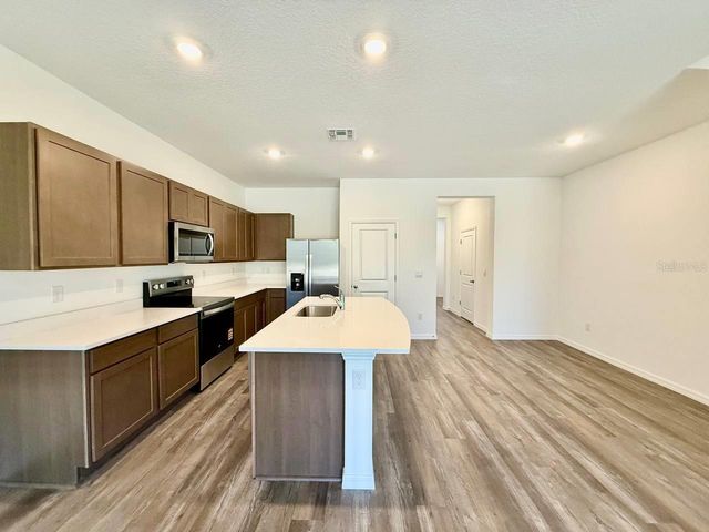 11374 VELVET APRICOT DRIVE, Land O Lakes, FL 34638