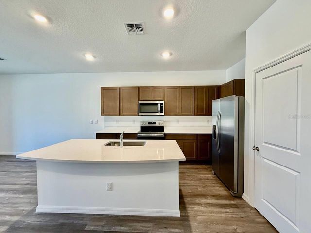 11374 VELVET APRICOT DRIVE, Land O Lakes, FL 34638