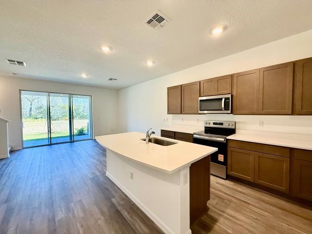 11374 VELVET APRICOT DRIVE, Land O Lakes, FL 34638