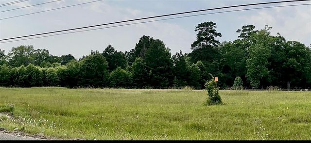 TBD 59 Loop North Drive, Livingston, TX 77351