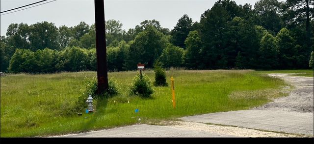 TBD 59 Loop North Drive, Livingston, TX 77351