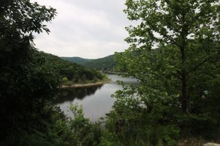 123 Joseph Cove Drive, Lampe, MO 65681