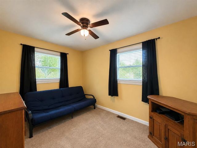 3772 Goldenrod Lane, De Soto, MO 63020