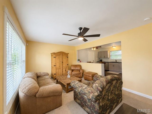 3772 Goldenrod Lane, De Soto, MO 63020