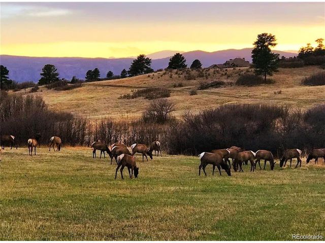 15 Castle Pines Dr, Castle Rock, CO 80108