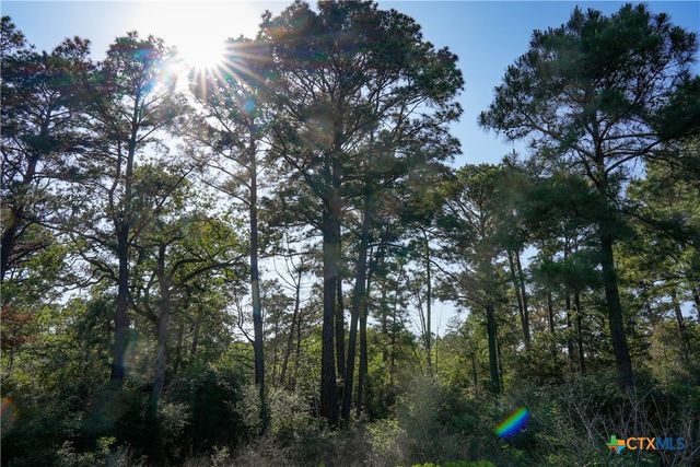 TBD Nink Road, Smithville, TX 78957
