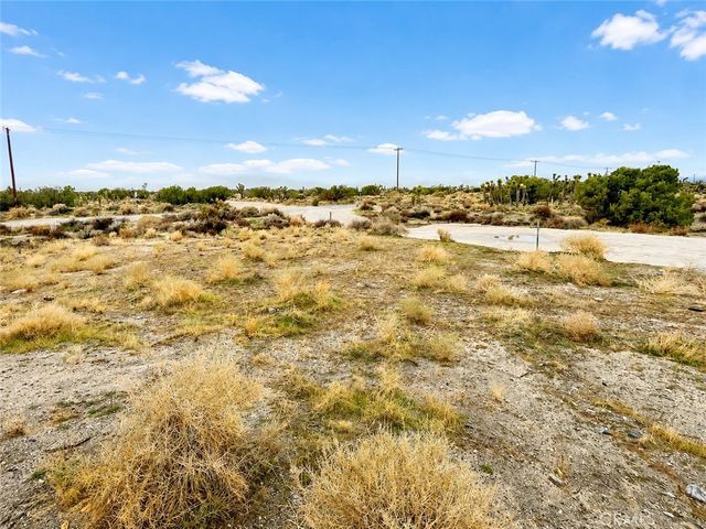 155 Del Rosa, Pinon Hills, CA 92372