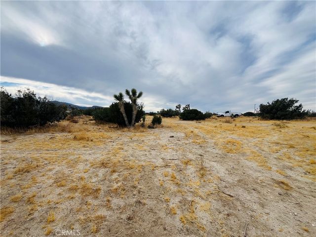 155 Del Rosa, Pinon Hills, CA 92372