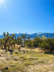 155 Del Rosa, Pinon Hills, CA 92372