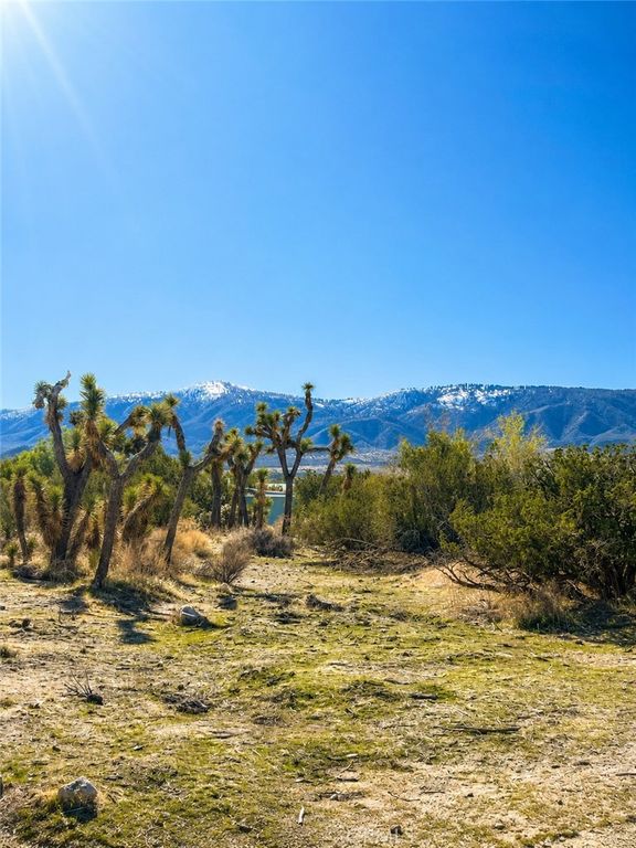155 Del Rosa, Pinon Hills, CA 92372