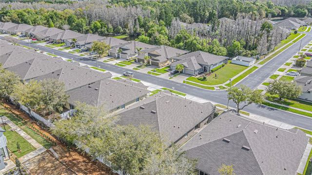 1123 BENSBROOKE DRIVE, Wesley Chapel, FL 33543