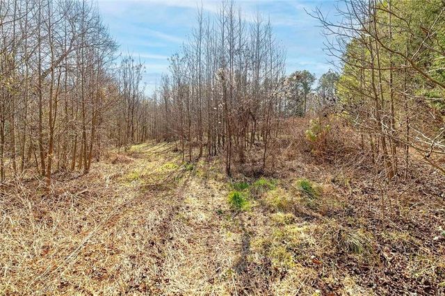 170 Mackey Road, Mcdonough, GA 30252